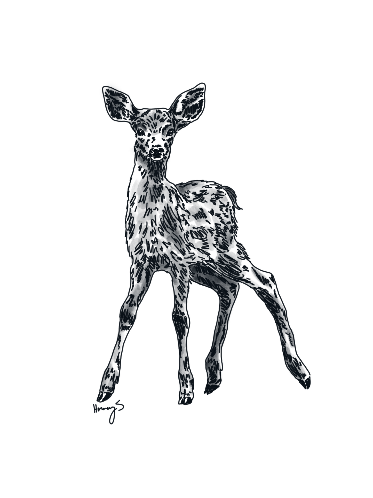 the doe