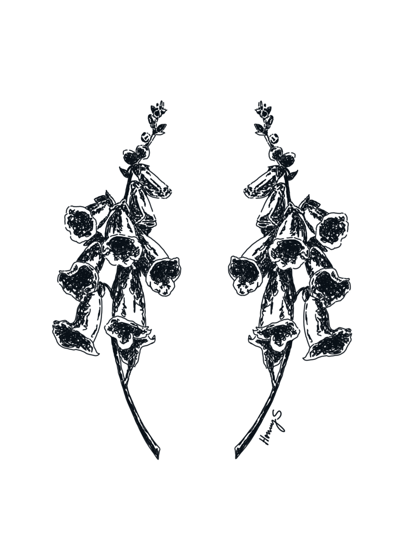 double lilly