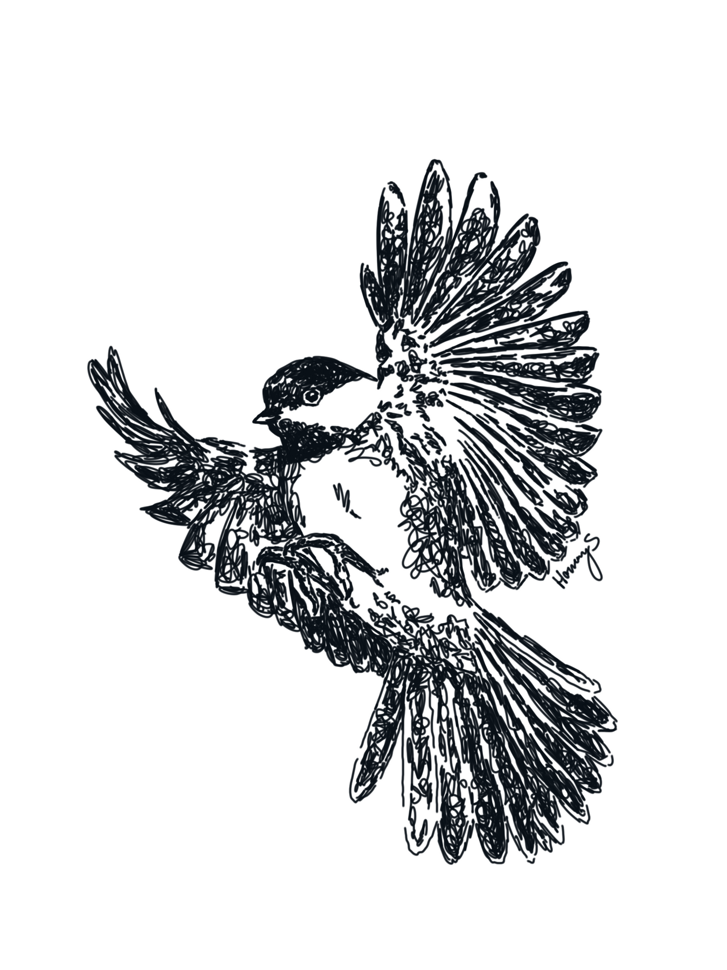 bird in flight
