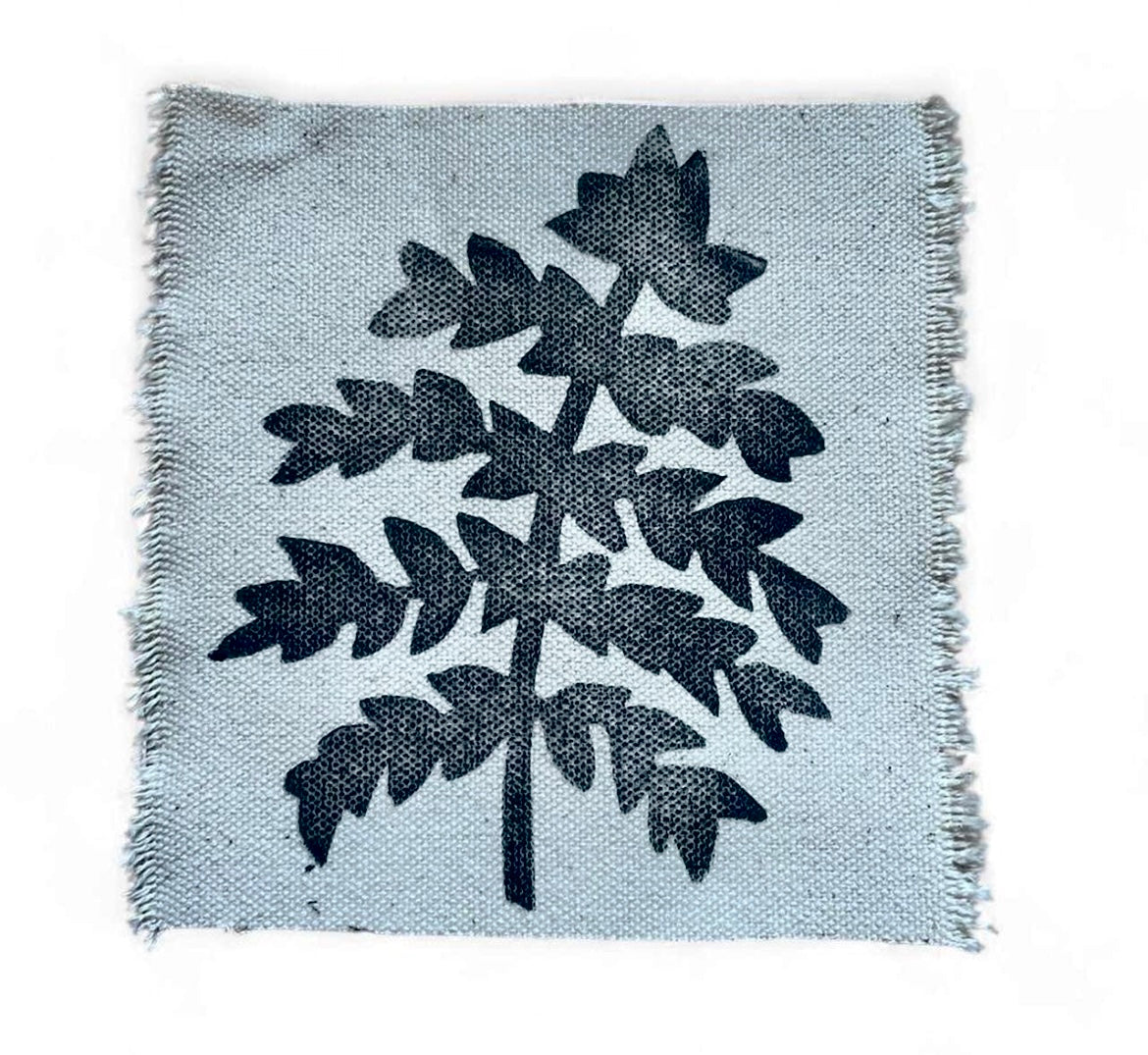 fern patch