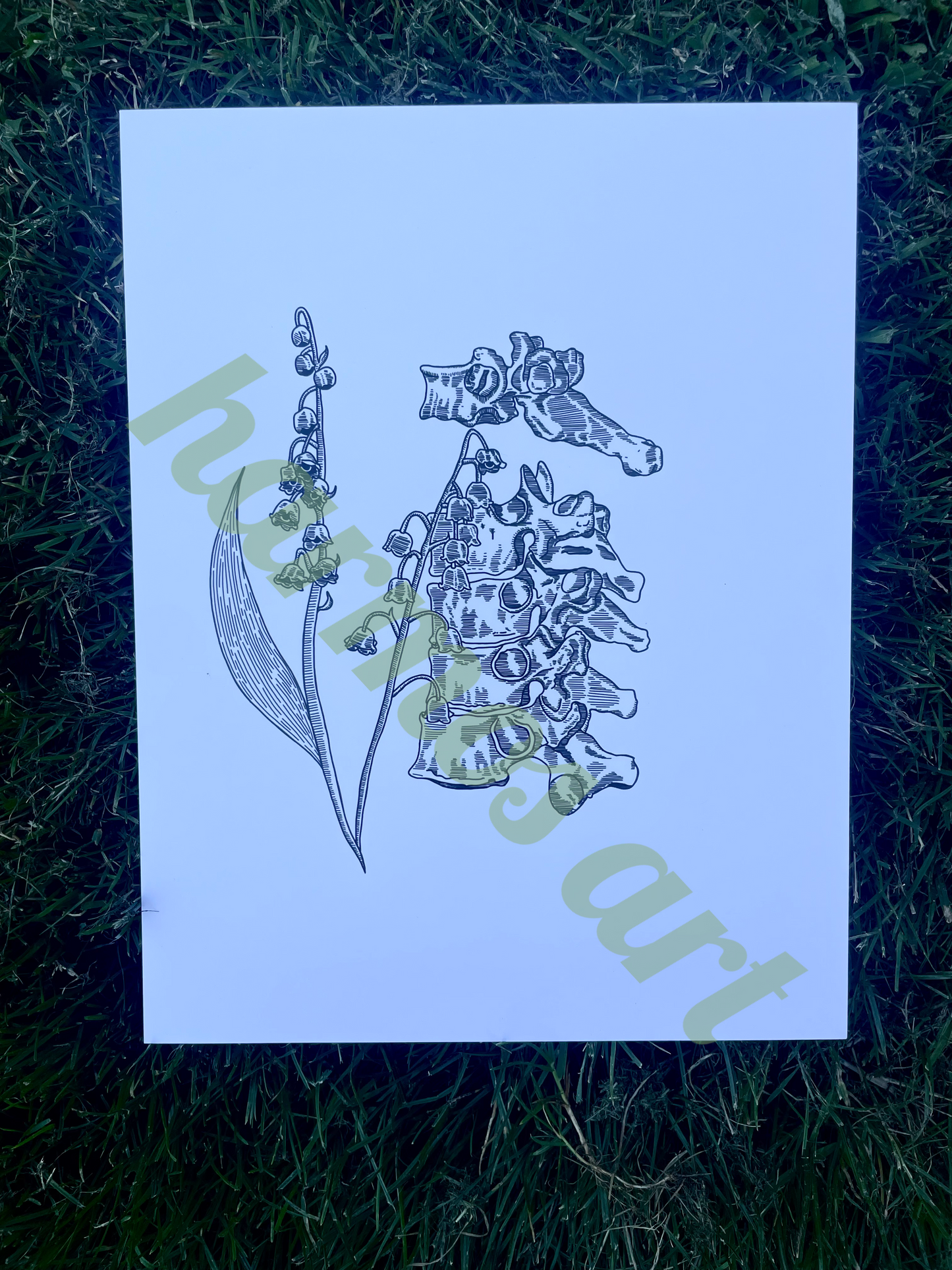 lily of the valley and vertebrae print