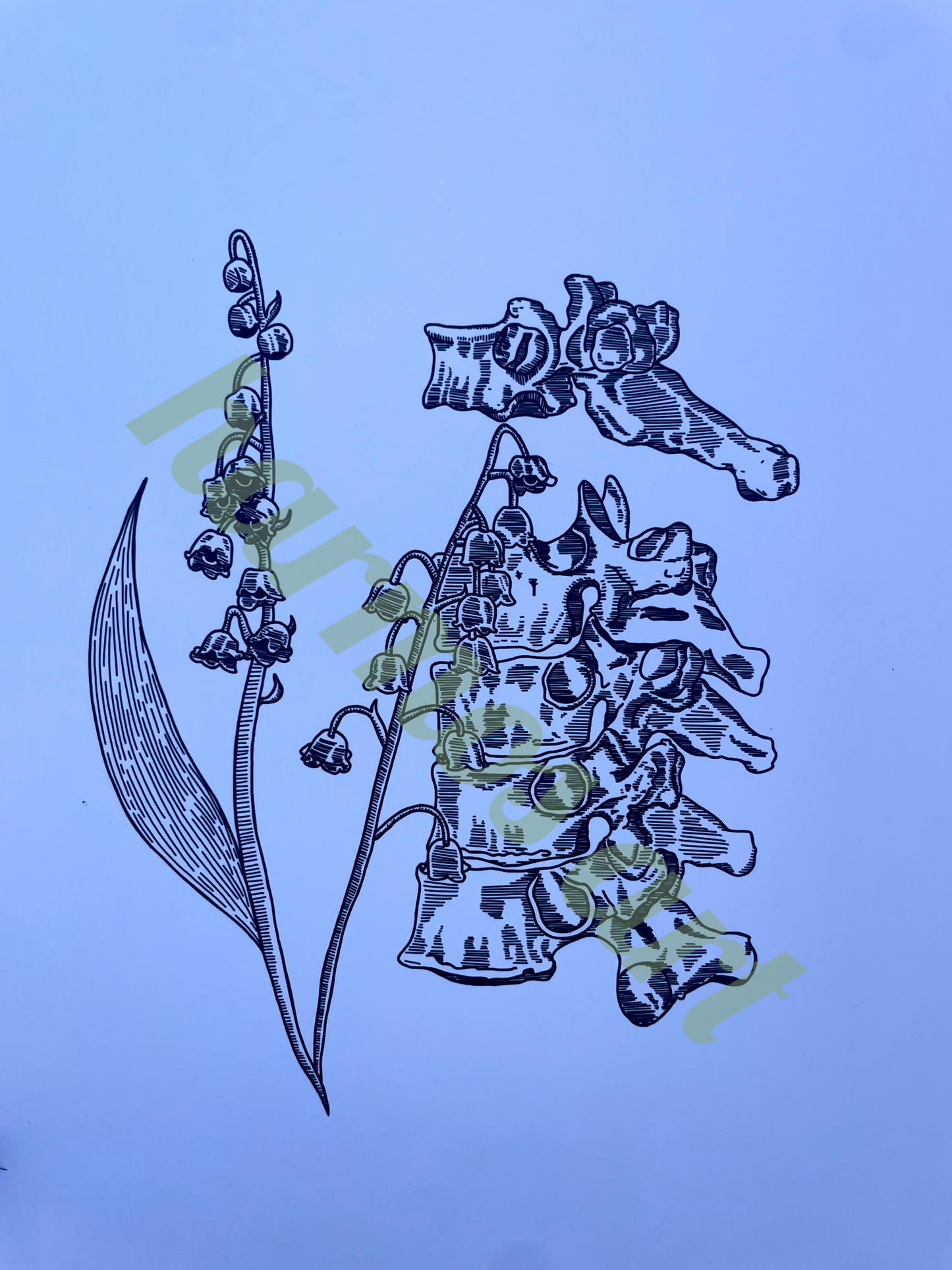 lily of the valley and vertebrae print