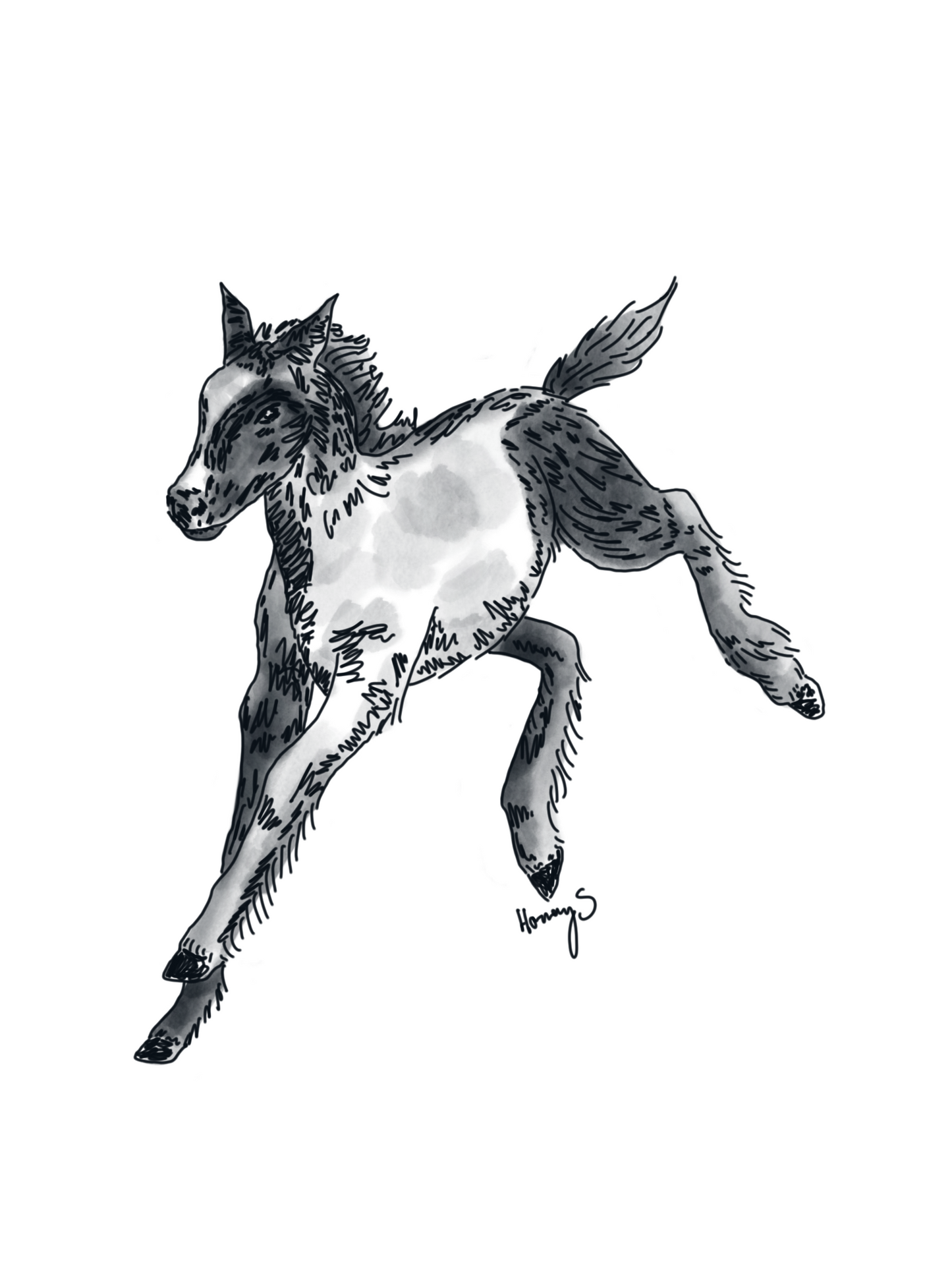 the pony
