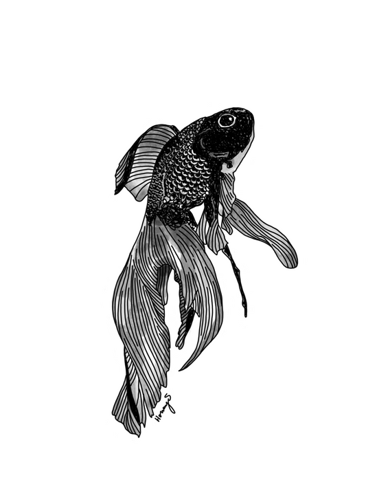 darkfish