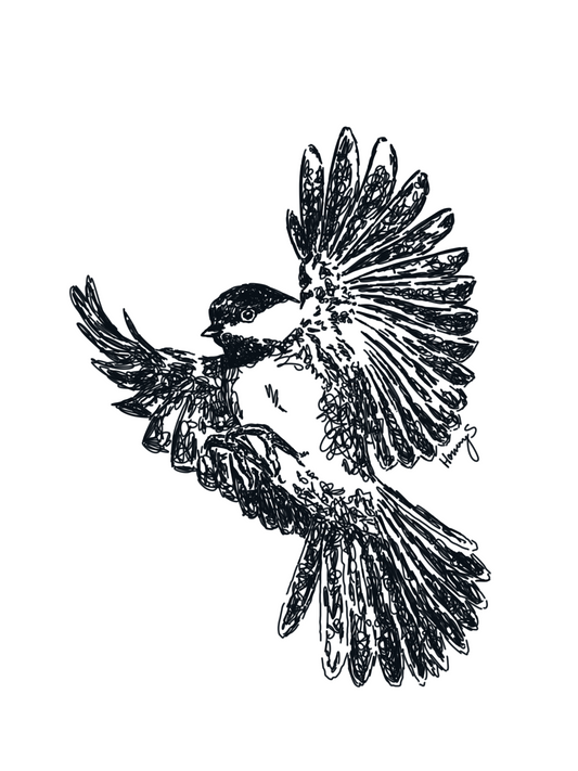 bird in flight