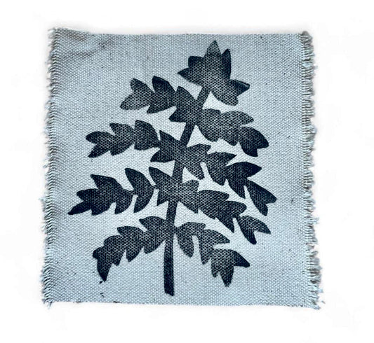 fern patch