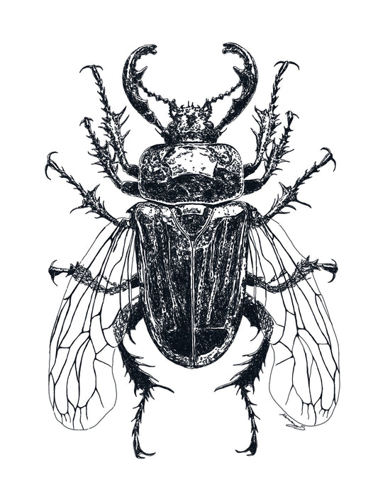 Beetle print