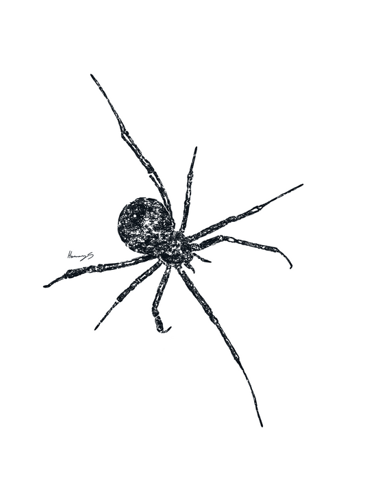 Spider print