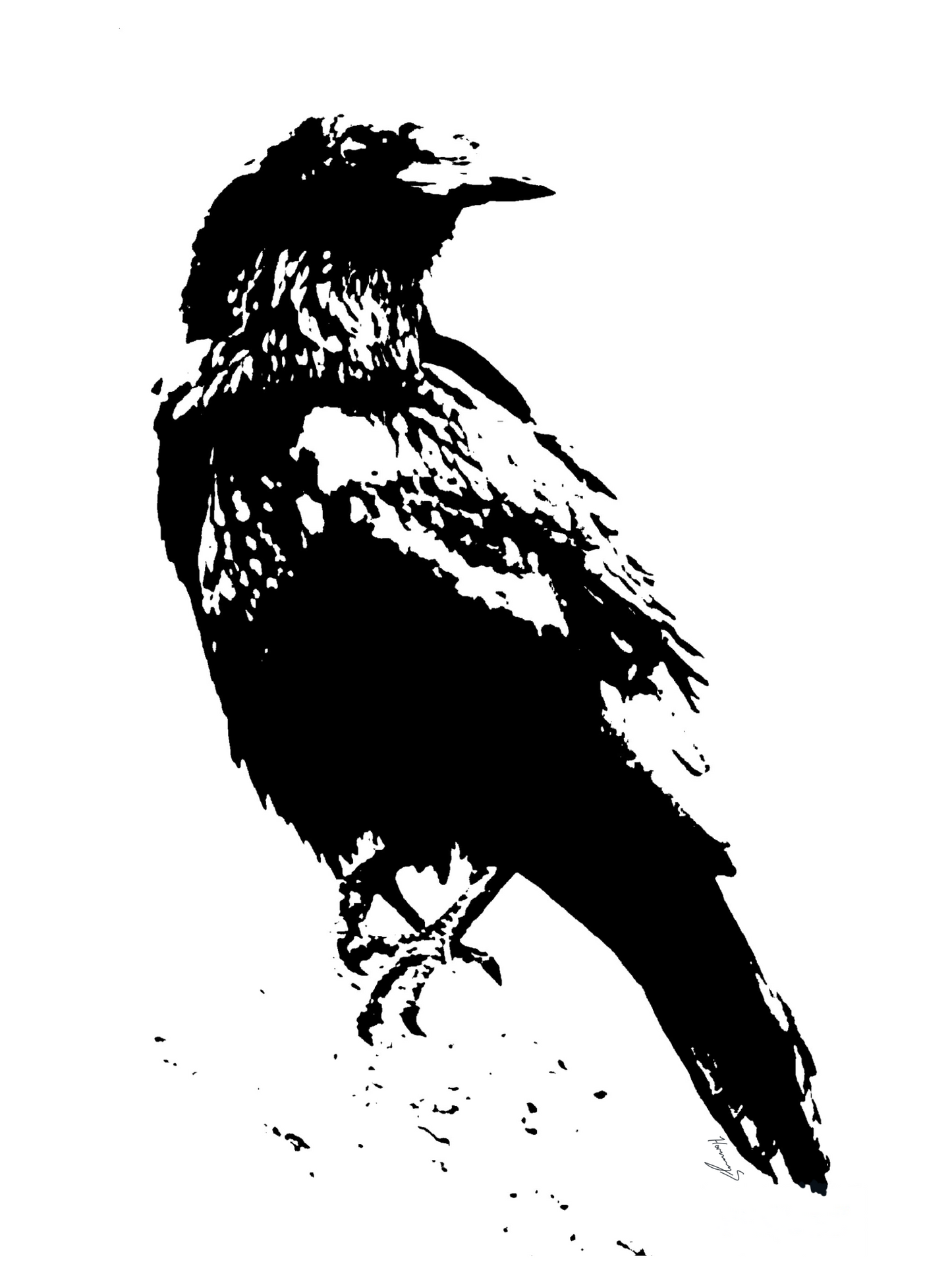 The Crow