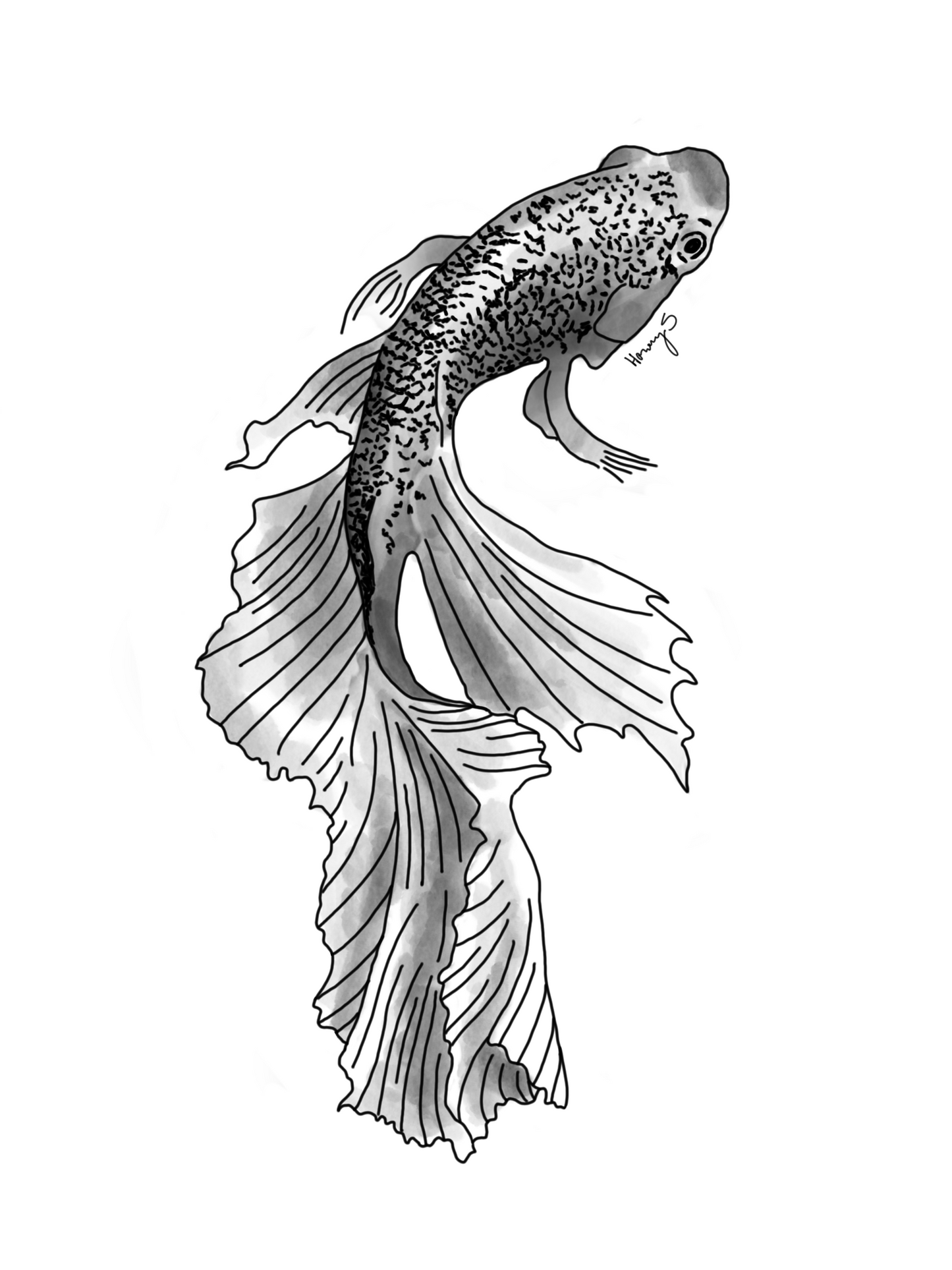 lightfish