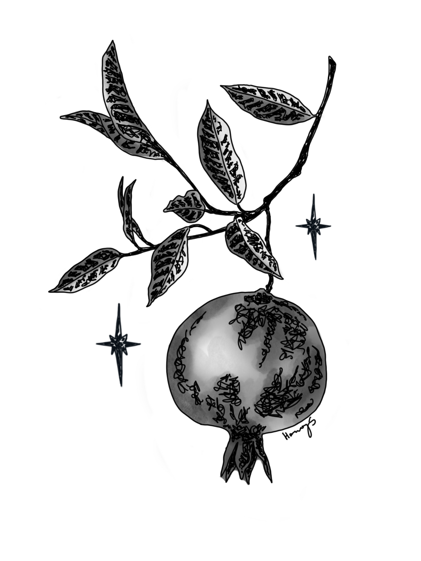 my pomegranate