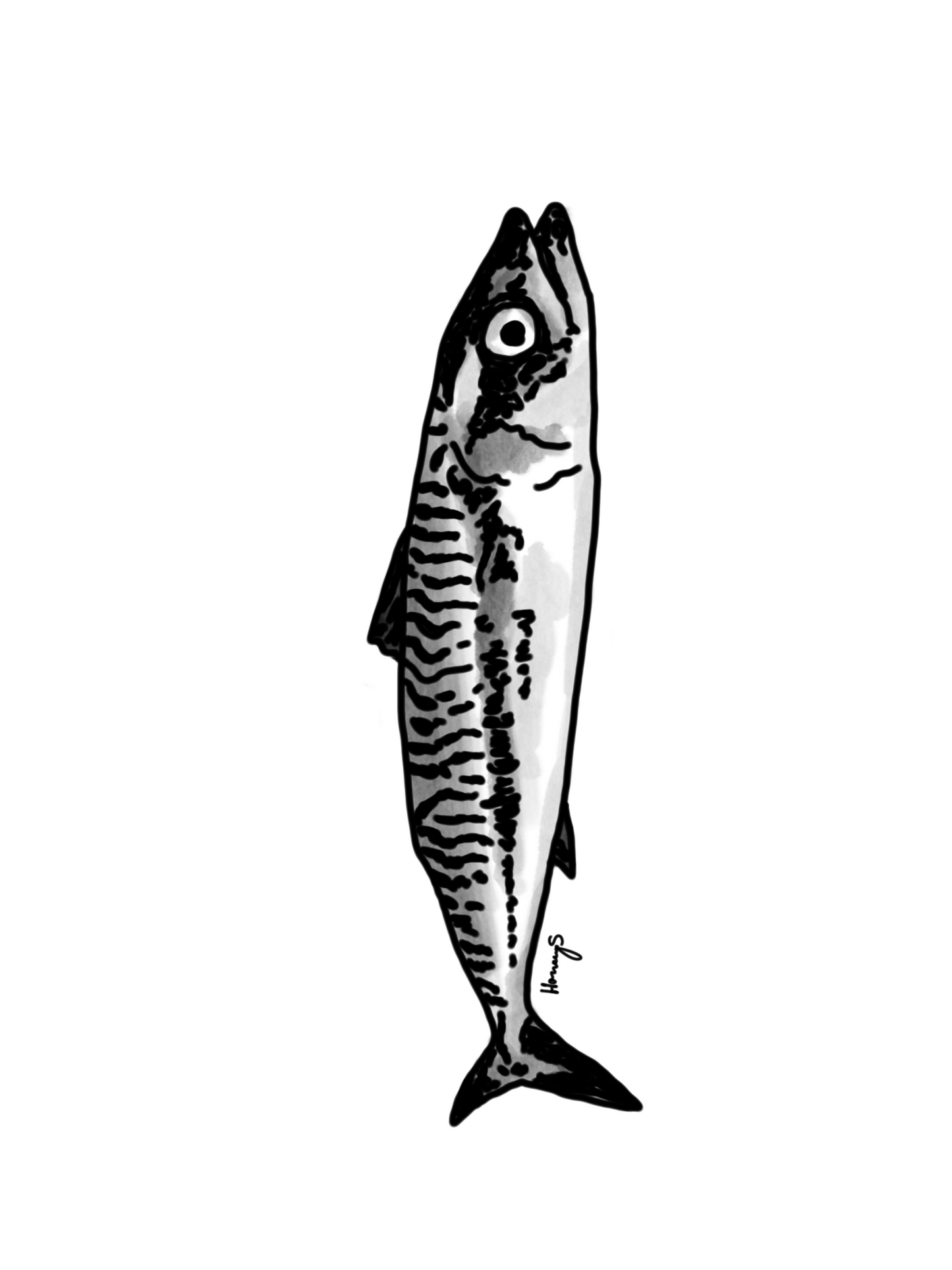 just a sardine